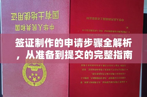 若尔盖签证制作的申请步骤全解析，从准备到提交的完整指南