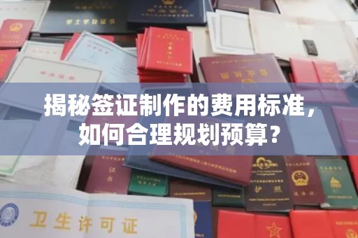 若尔盖揭秘签证制作的费用标准，如何合理规划预算？