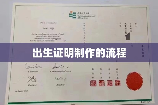 若尔盖出生证明制作的流程